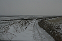 Czerwonym Szlakiem 003